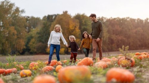 Autumn Family Breaks 
