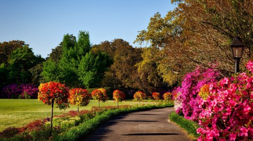 Autumnal Moments 