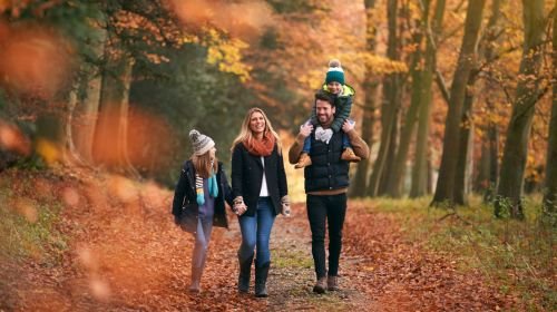 Family Breaks