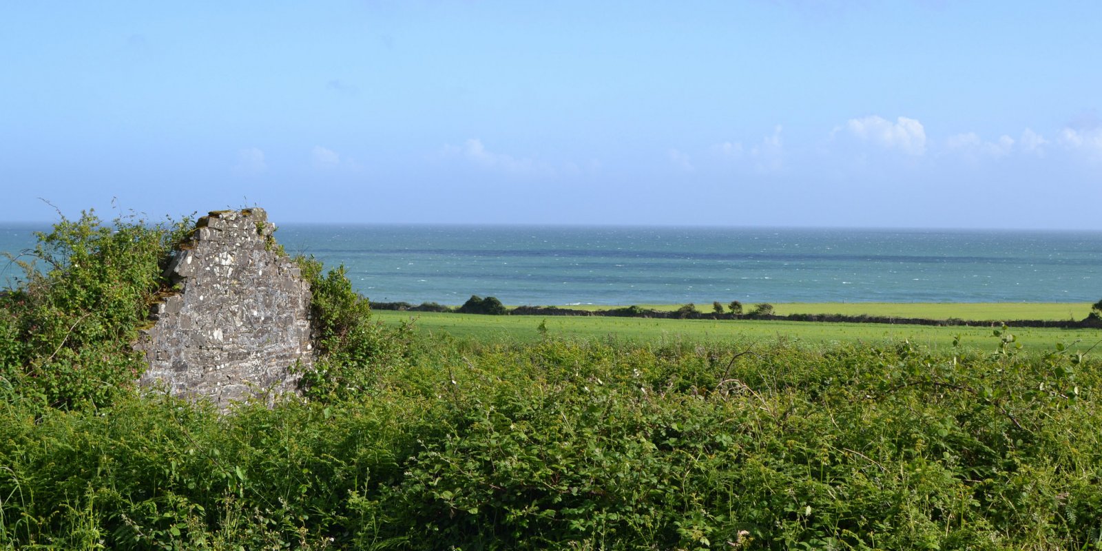 escape to nature this summer and walk or cycle the waterford greenway